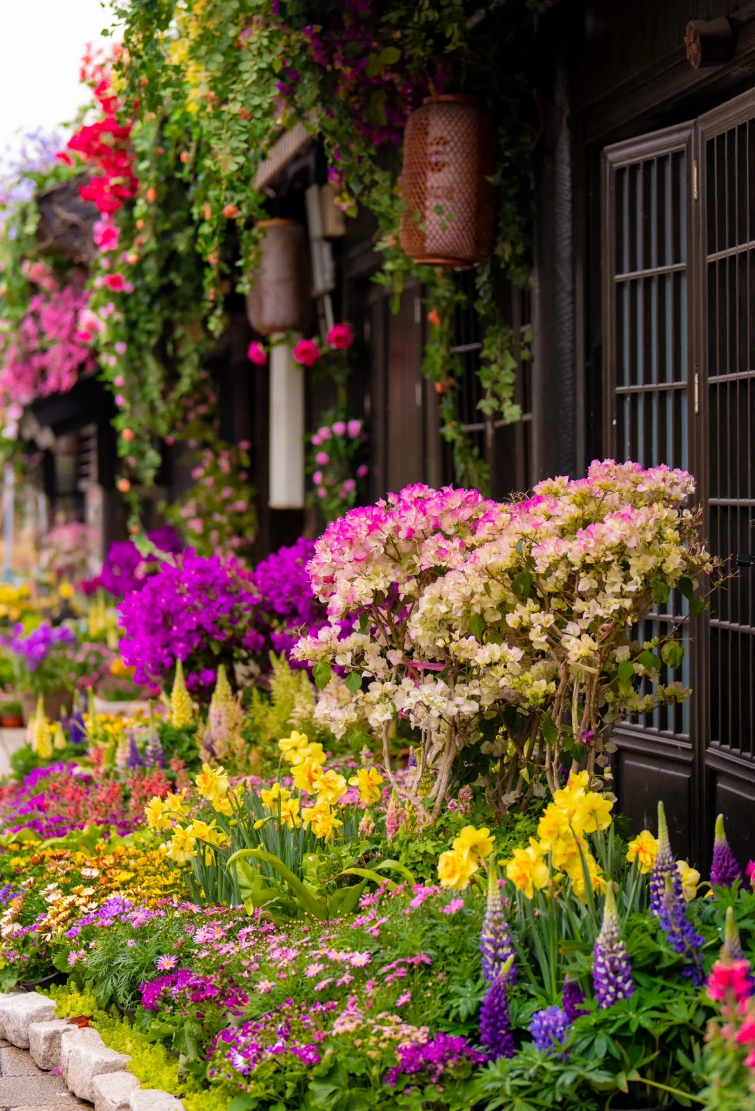 我在无锡上春山🌸江苏被严重低估的宝藏小城