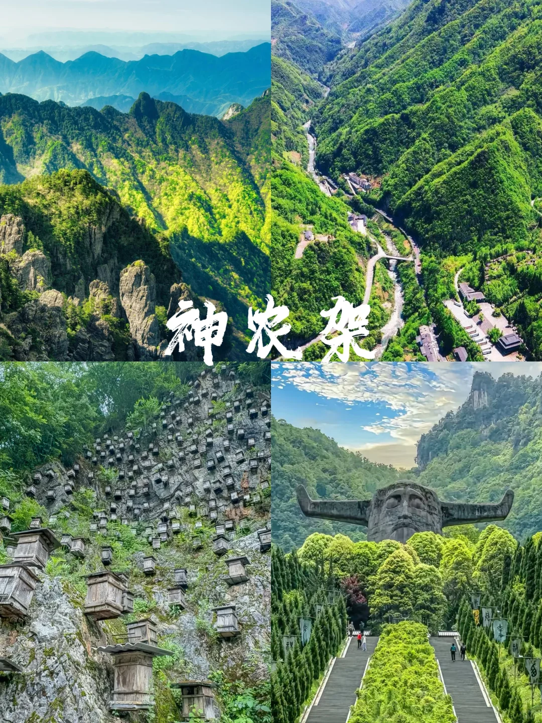 真的封神了，适合3-5月武汉周边游