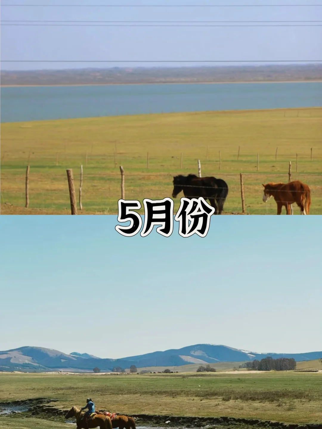 四月份要不要来草原？我来说实话