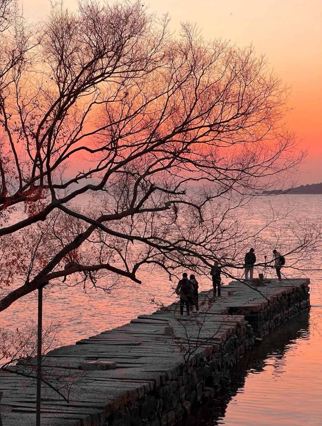 世界上只有江苏才有的12大景点‼️