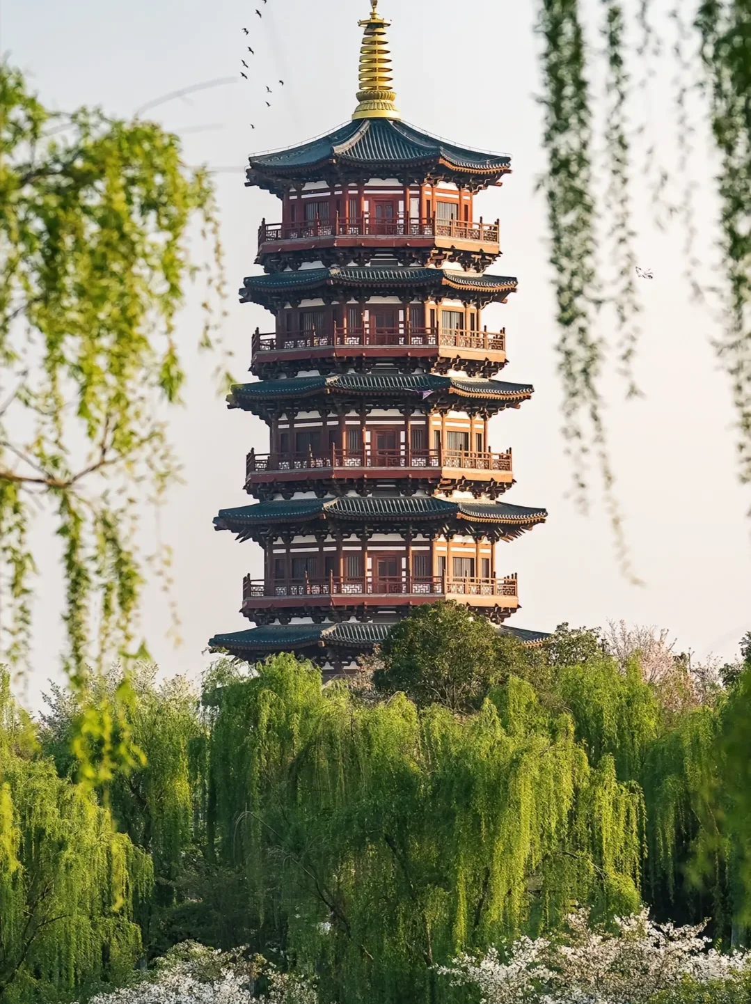 离开洛阳的后劲比失恋还大😭附三日旅游攻