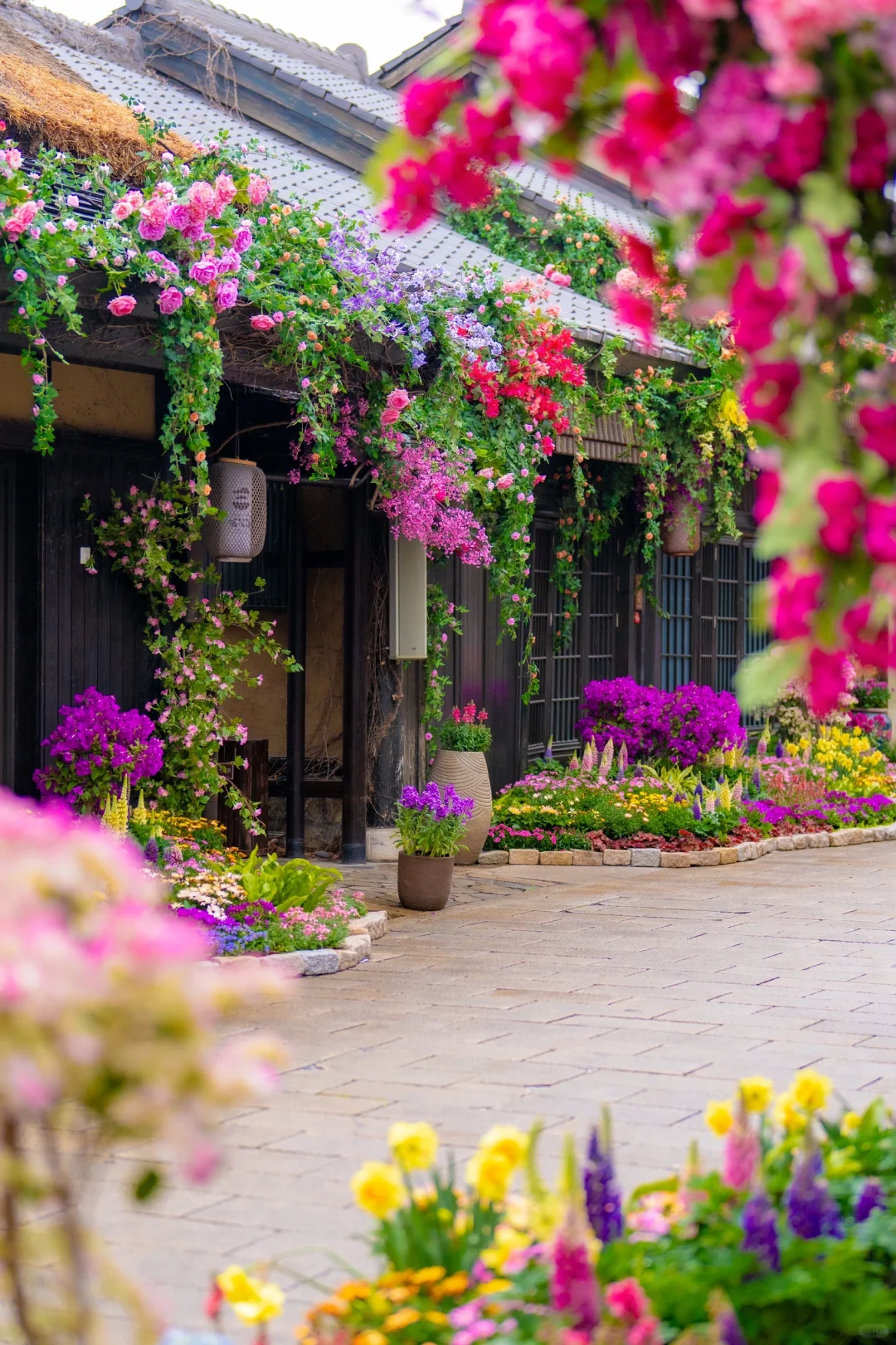 我在无锡上春山🌸江苏被严重低估的宝藏小城