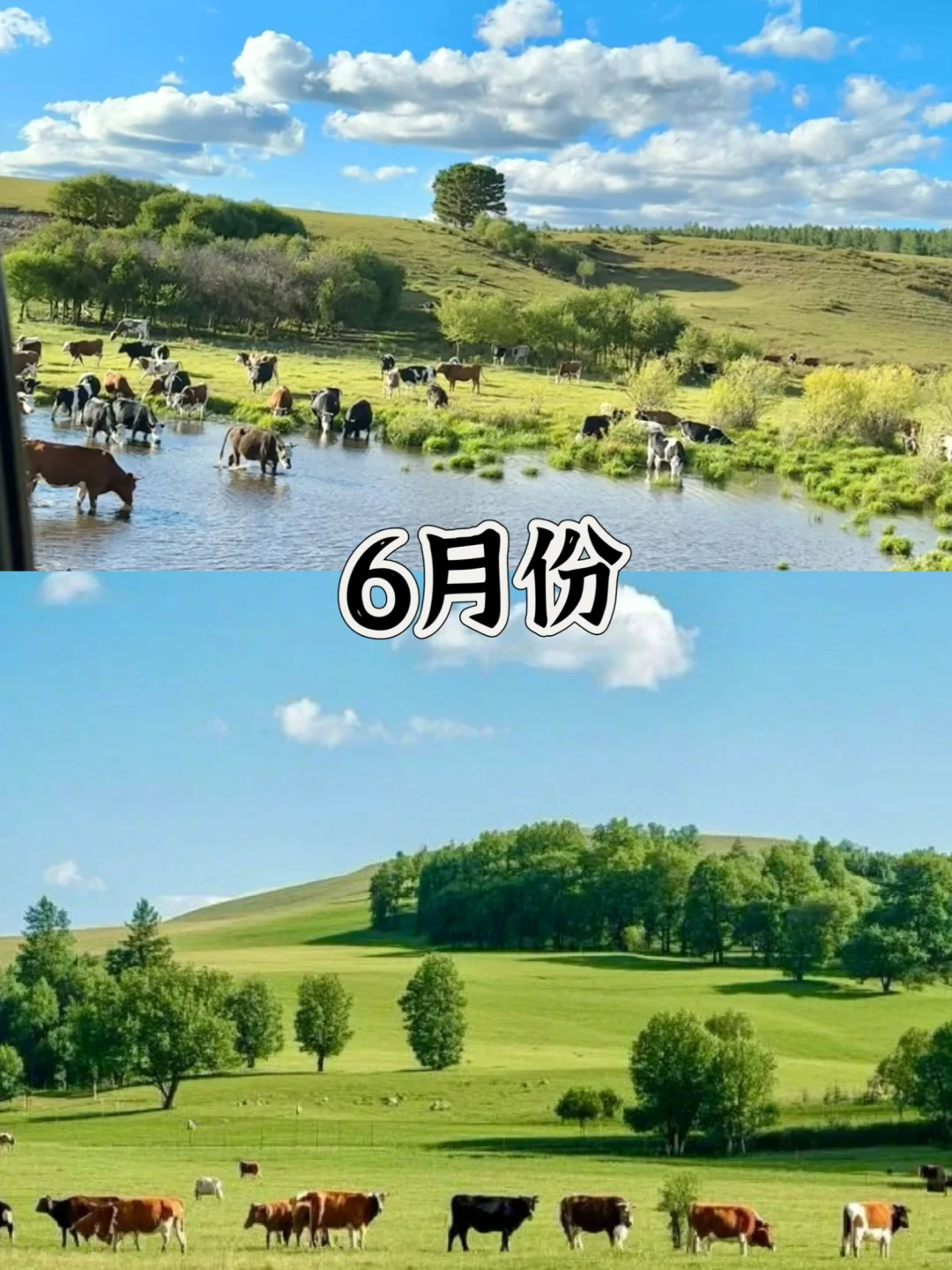 四月份要不要来草原？我来说实话