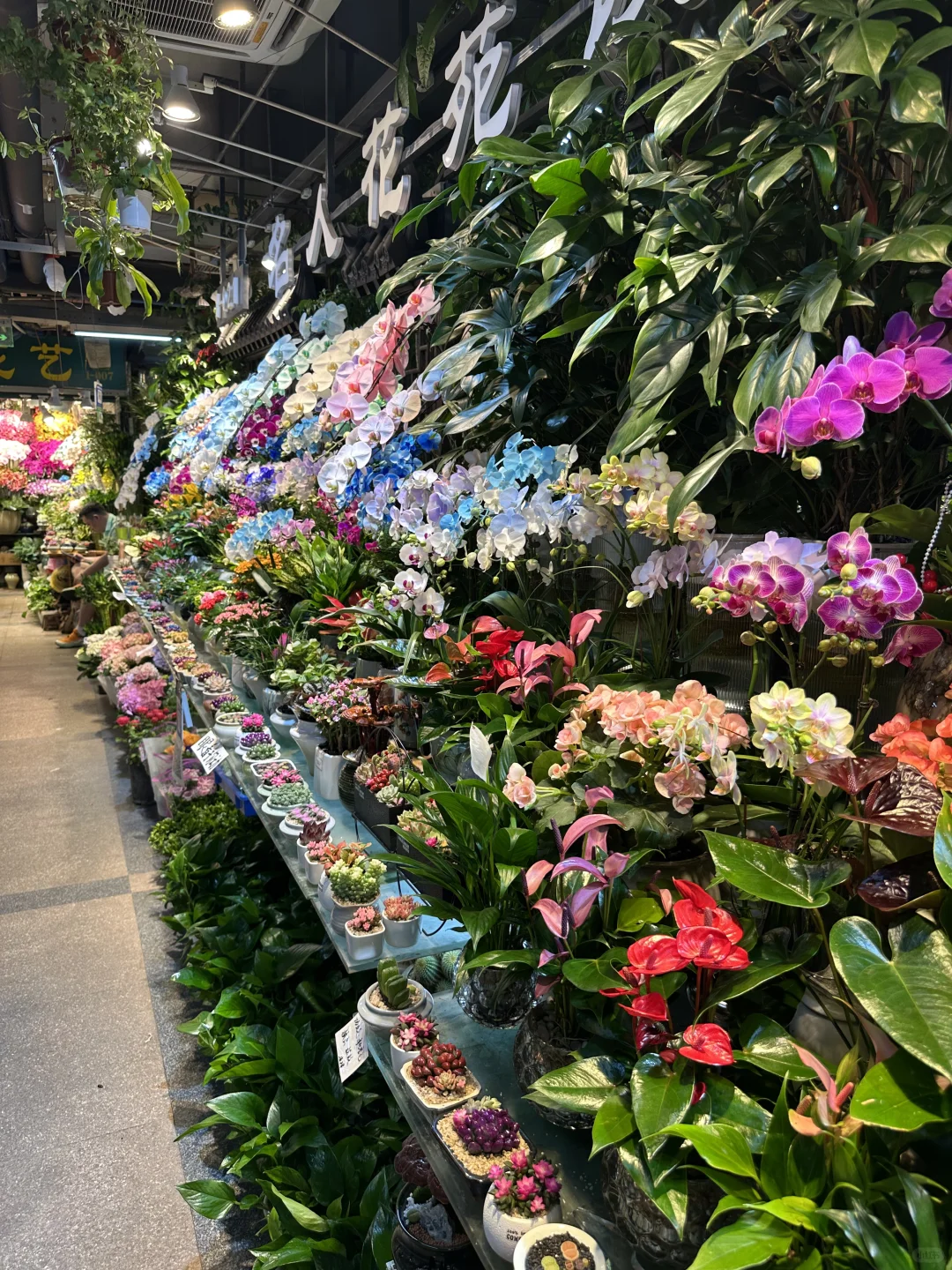 在杭州的惊喜发现！来旅游的人不要错过