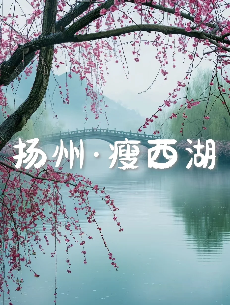 国内6个封神级花海，美到窒息想私奔