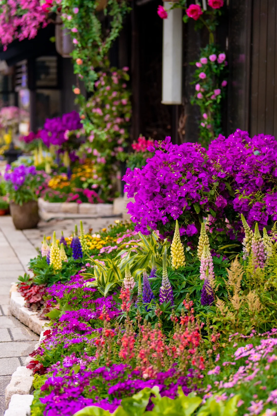 我在无锡上春山🌸江苏被严重低估的宝藏小城