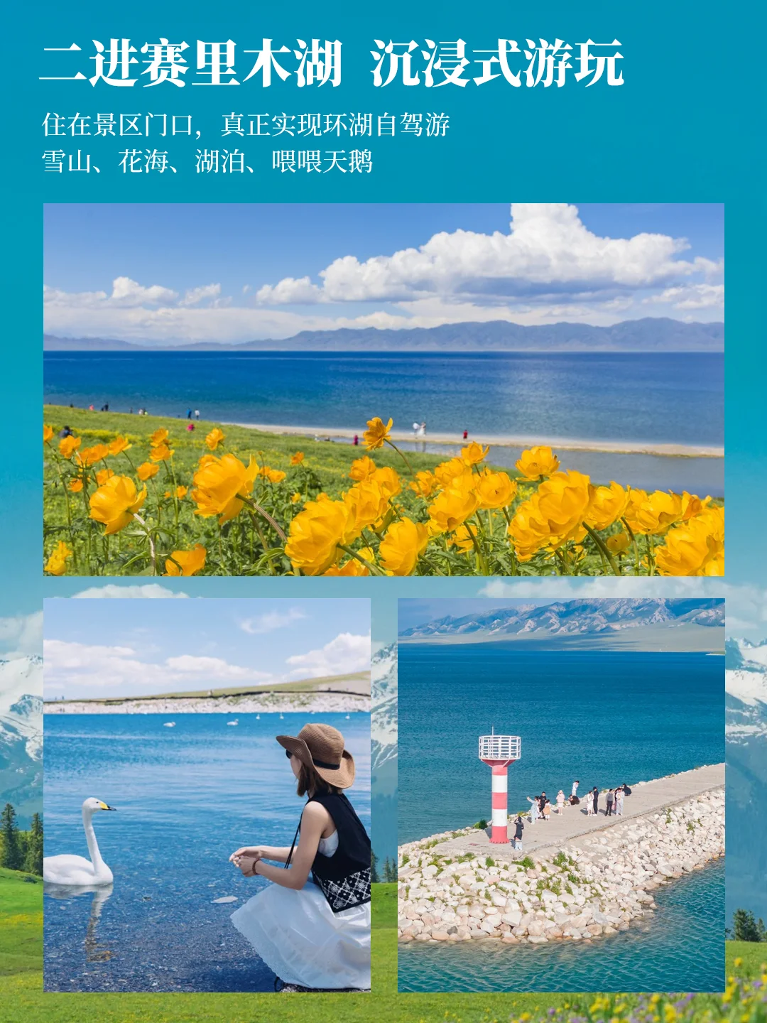5-8月北疆伊犁轻奢8日🌲住景区 人均4K+