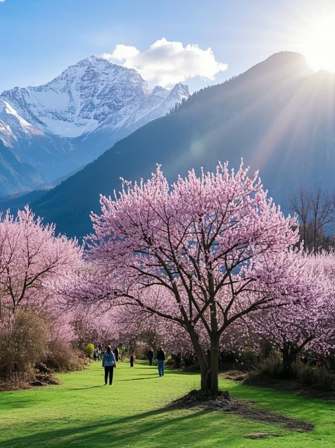 被《国家地理》点名的林芝桃花到底有多美❗️