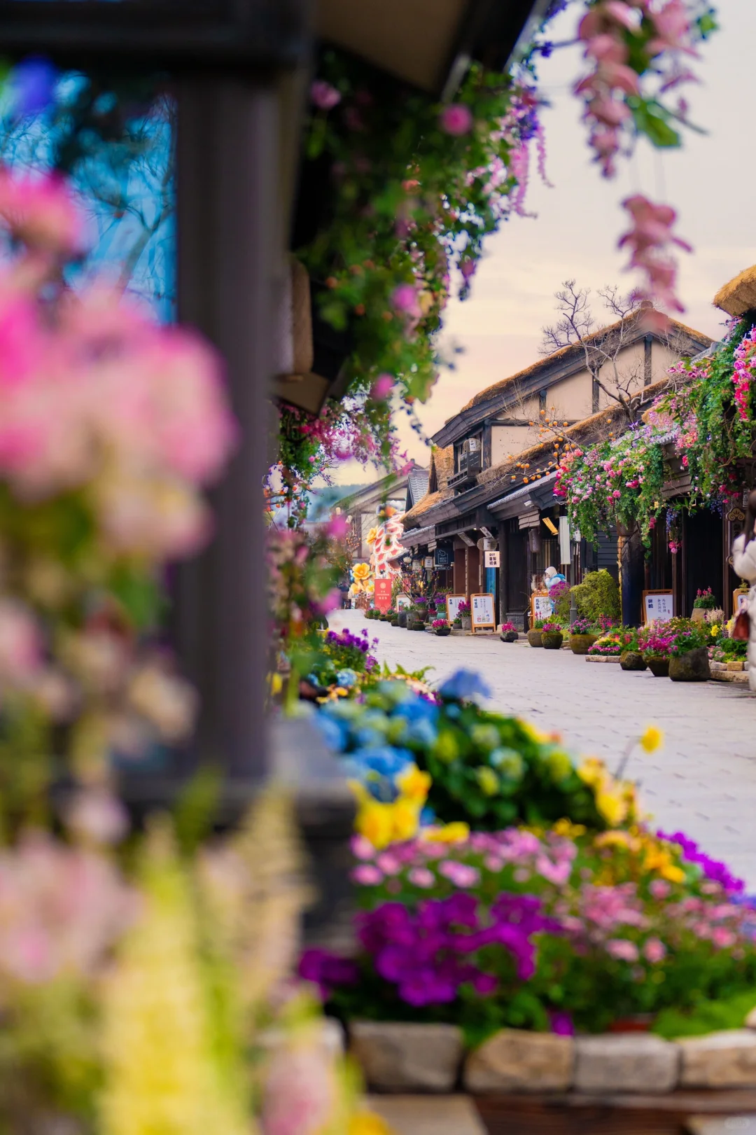 我在无锡上春山🌸江苏被严重低估的宝藏小城