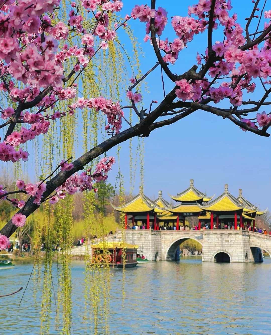 世界上只有江苏才有的12大景点‼️