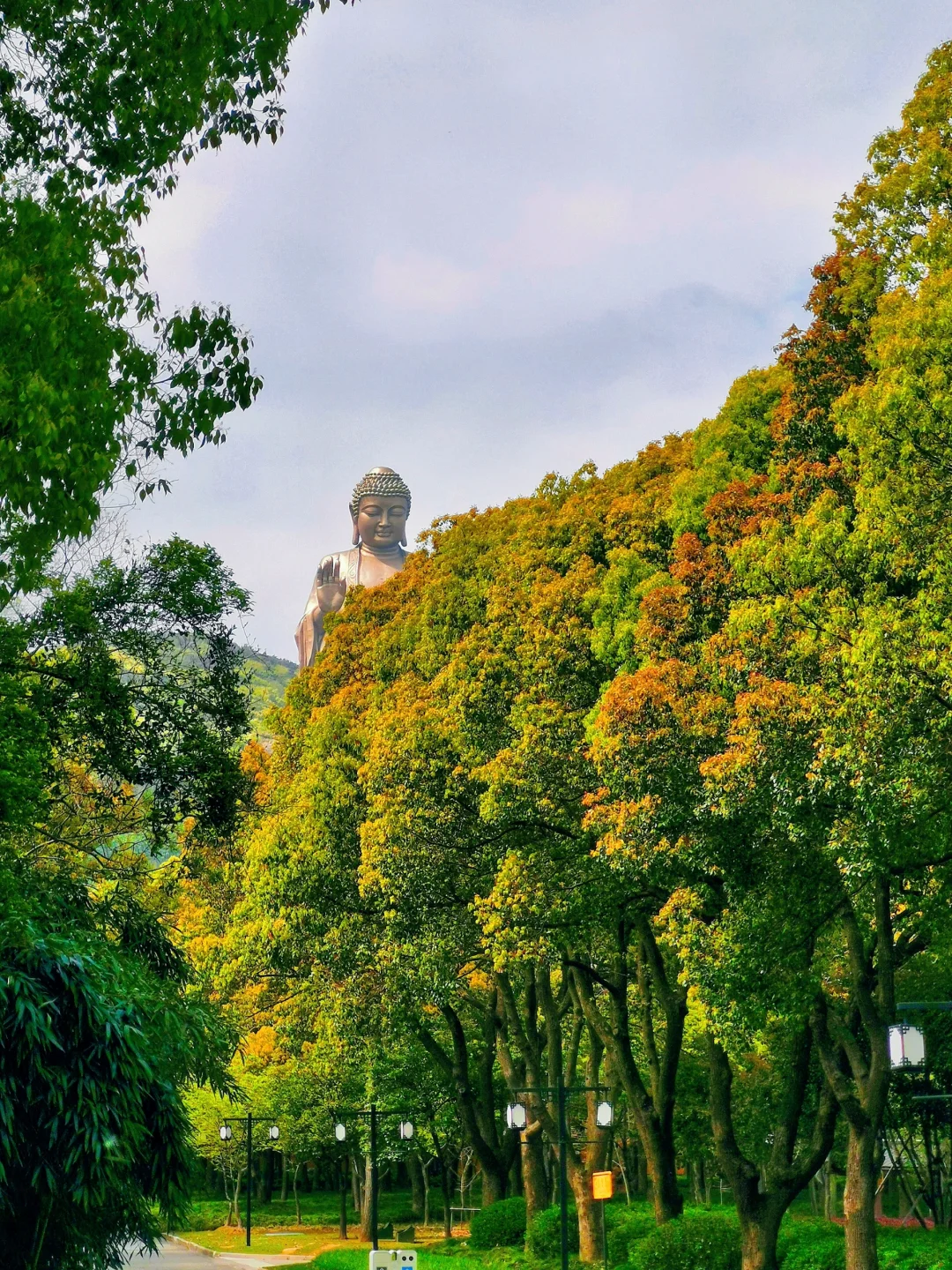 所求皆所愿｜灵山胜境旅游攻略