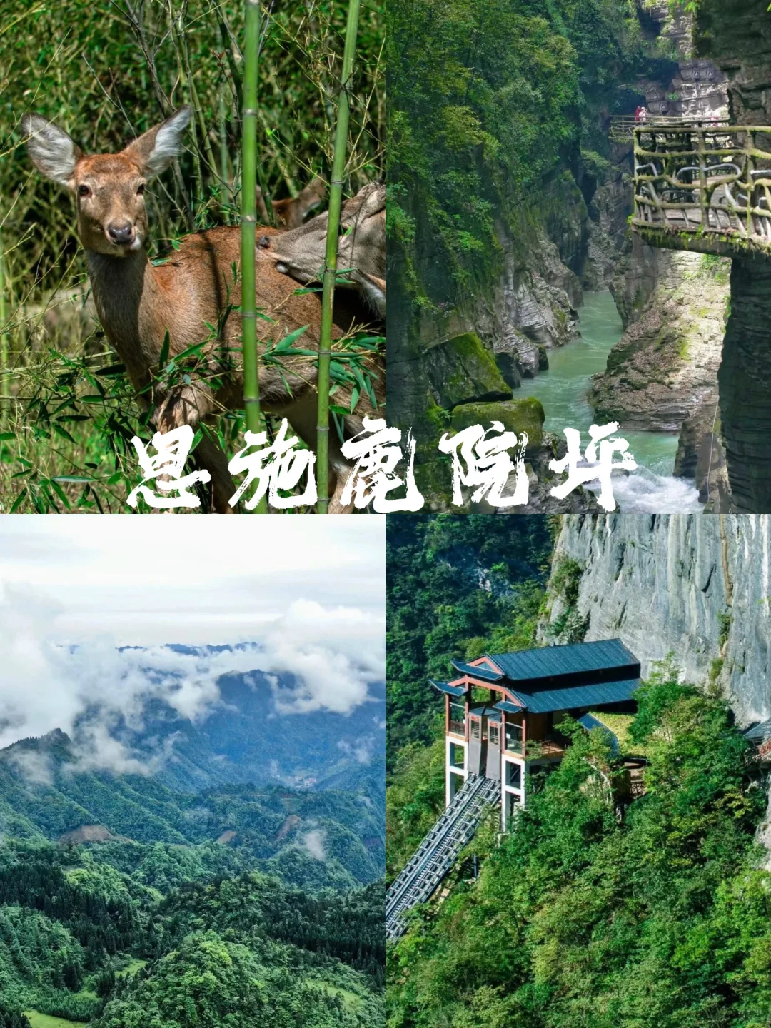 真的封神了，适合3-5月武汉周边游