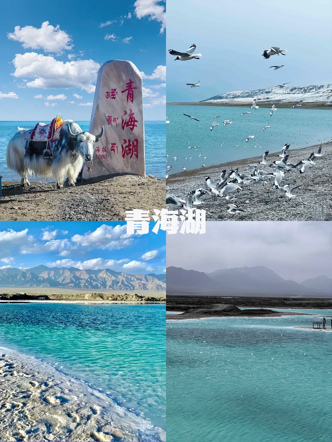 不愧是Deepseek，5月最佳旅游城市很会推荐