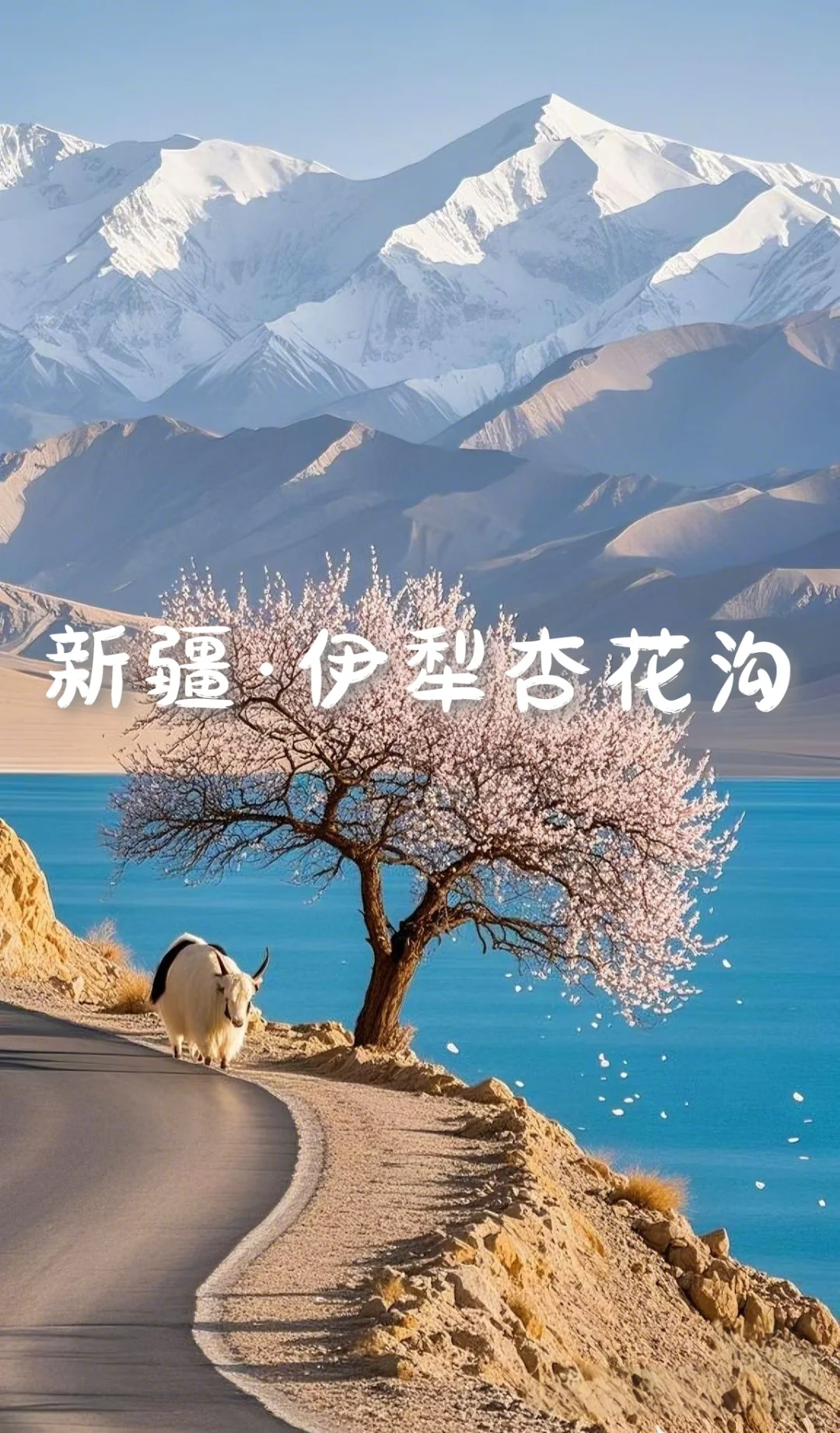 国内6个封神级花海，美到窒息想私奔