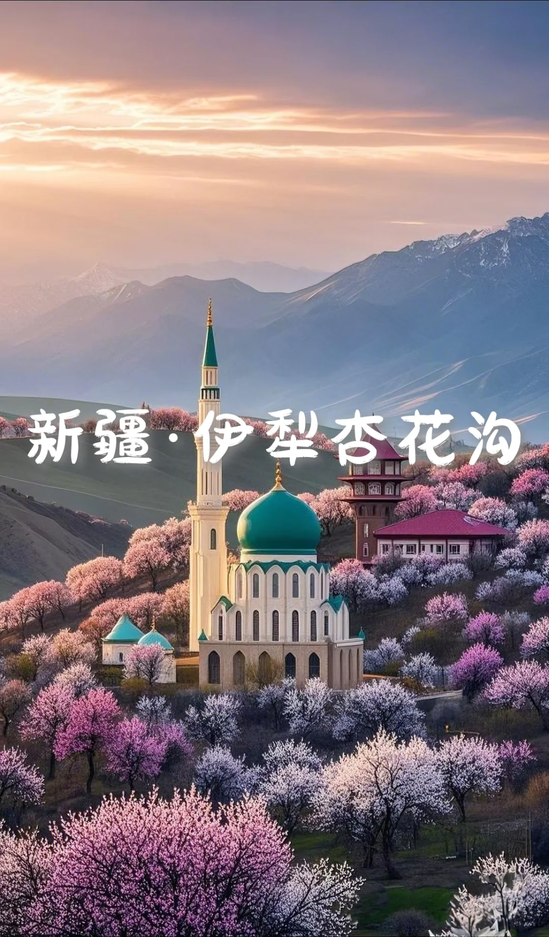 国内6个封神级花海，美到窒息想私奔