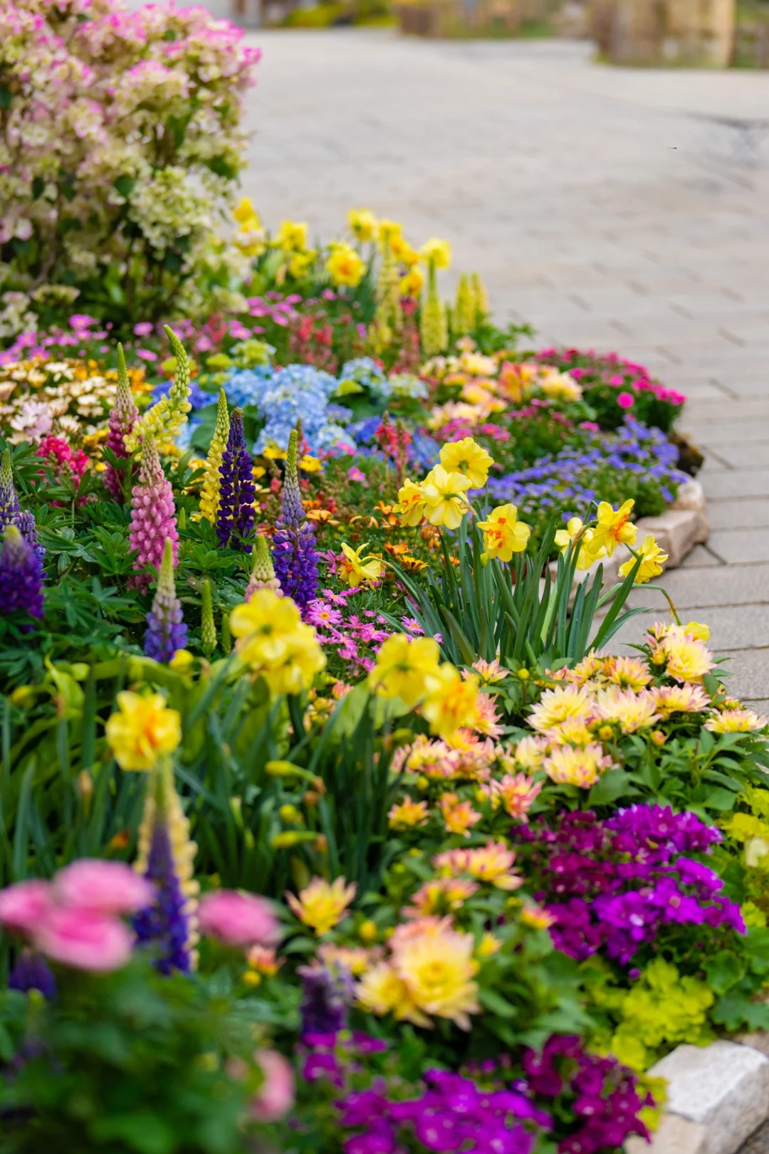 我在无锡上春山🌸江苏被严重低估的宝藏小城