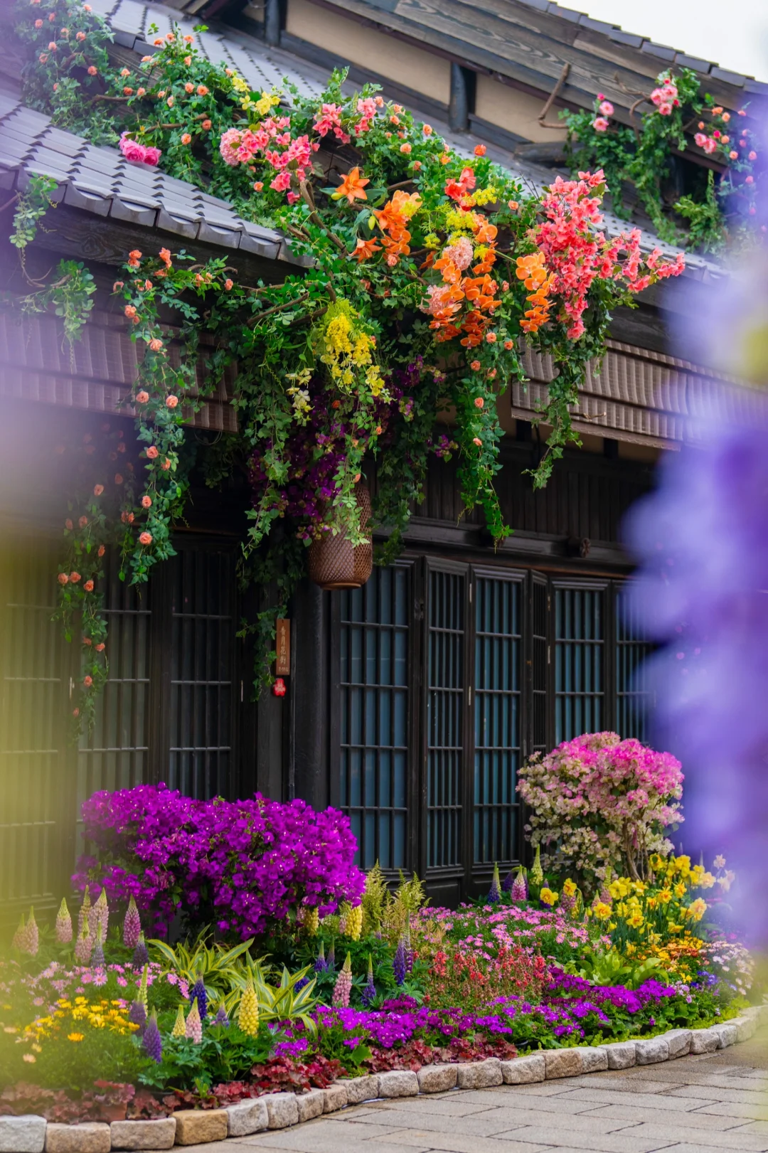 我在无锡上春山🌸江苏被严重低估的宝藏小城