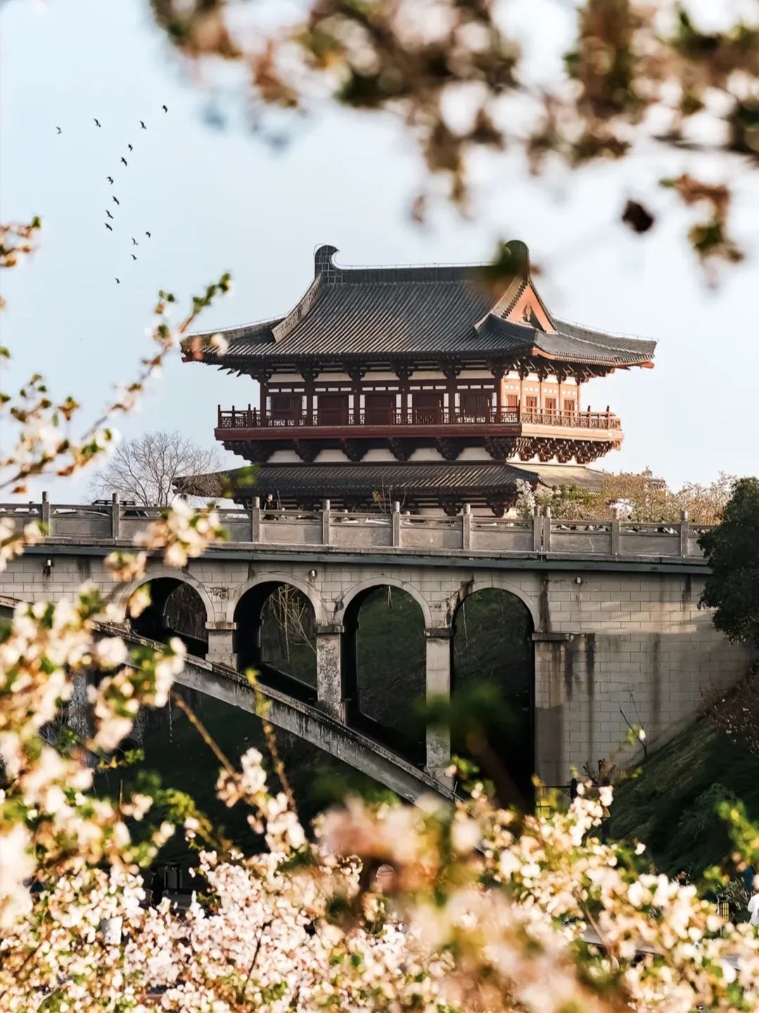 离开洛阳的后劲比失恋还大😭附三日旅游攻