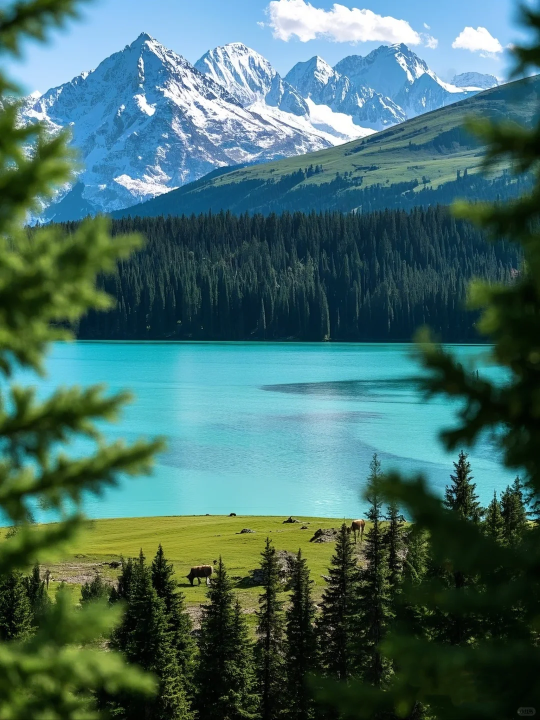 新疆夏天美到窒息！这9个地方不去真的会后悔