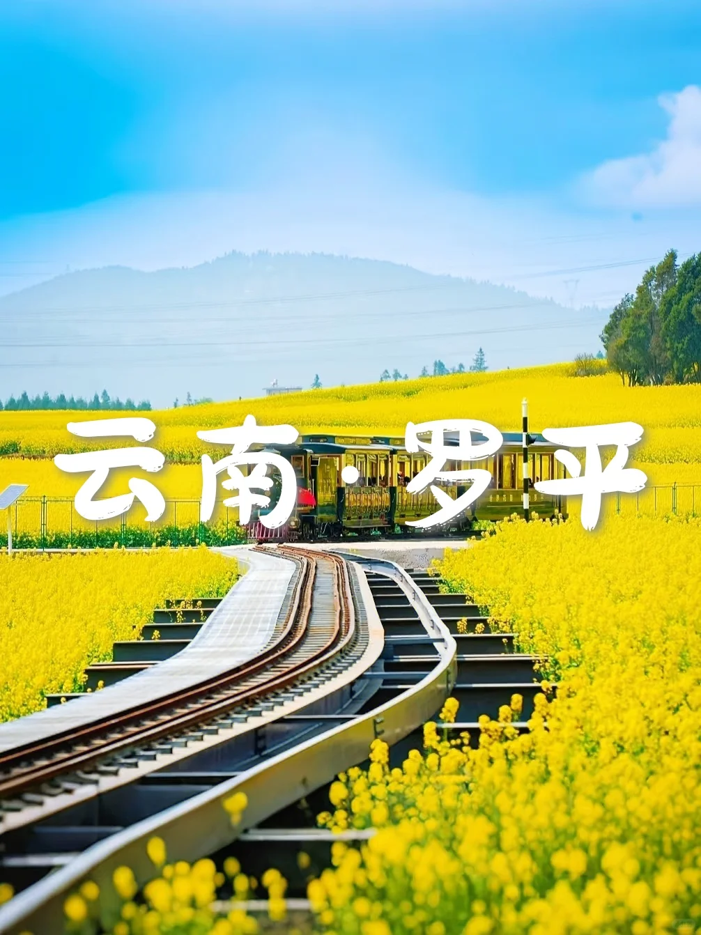 国内6个封神级花海，美到窒息想私奔