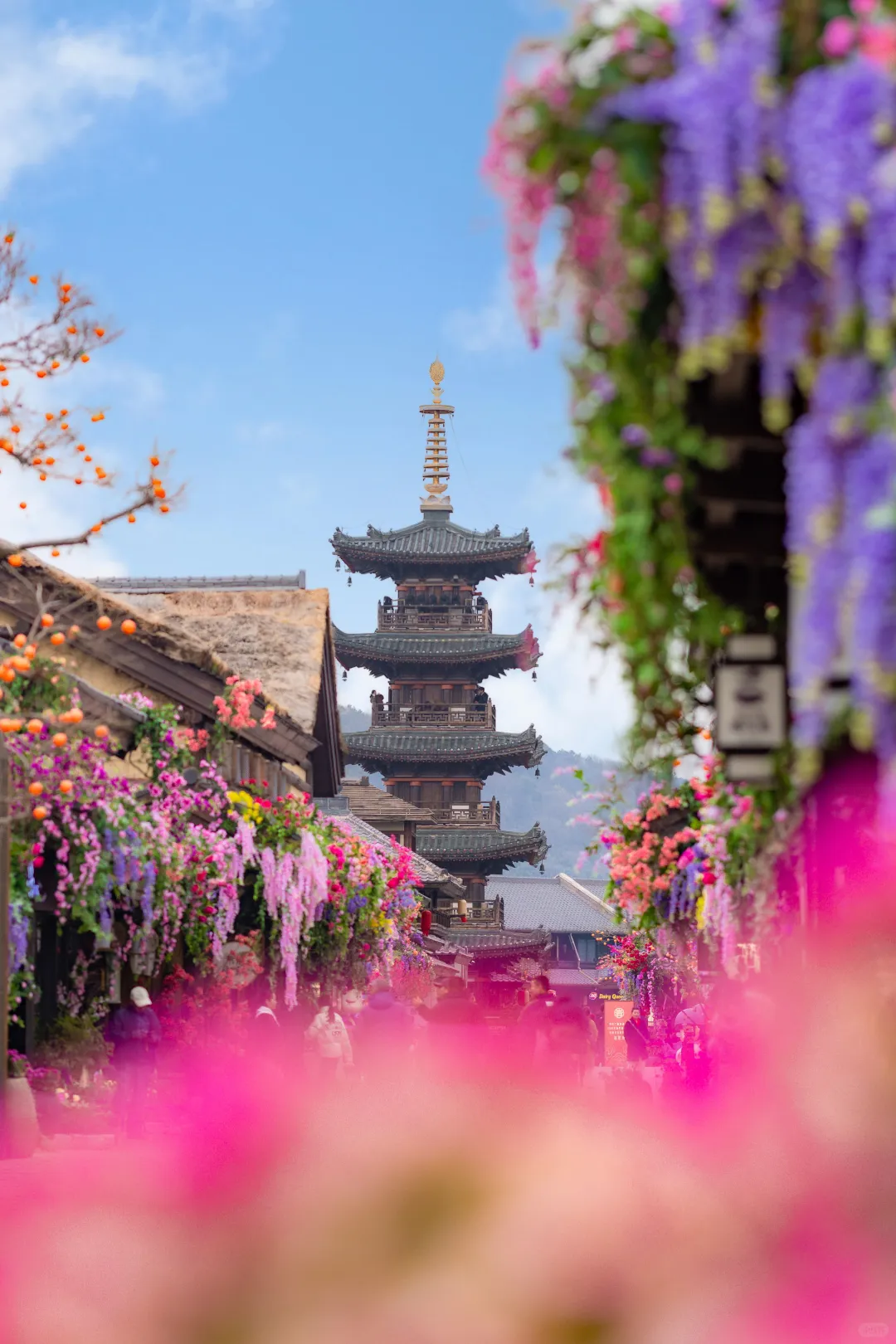 我在无锡上春山🌸江苏被严重低估的宝藏小城