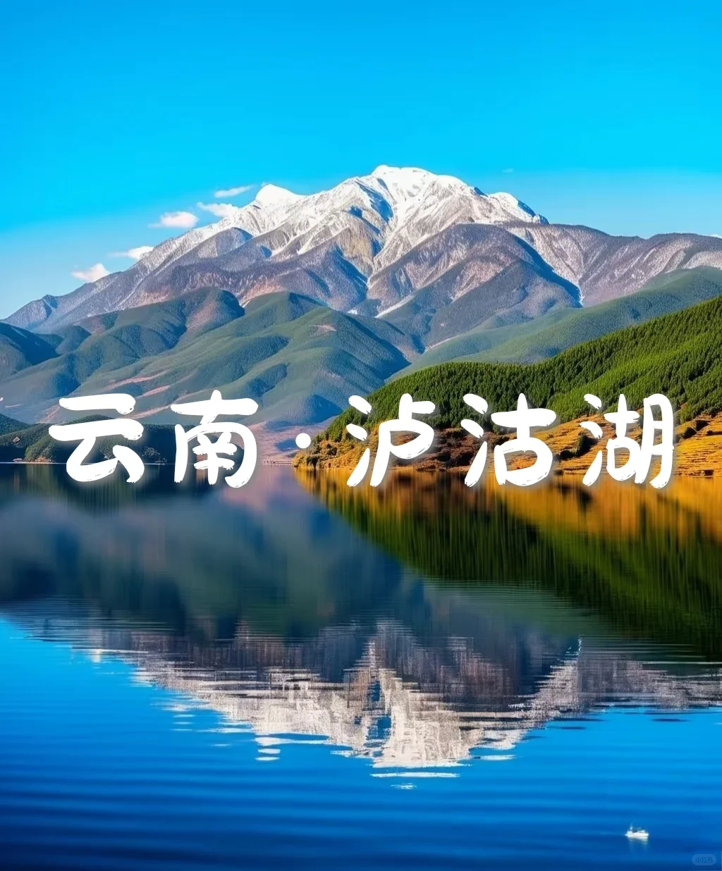 国内6个封神级花海，美到窒息想私奔