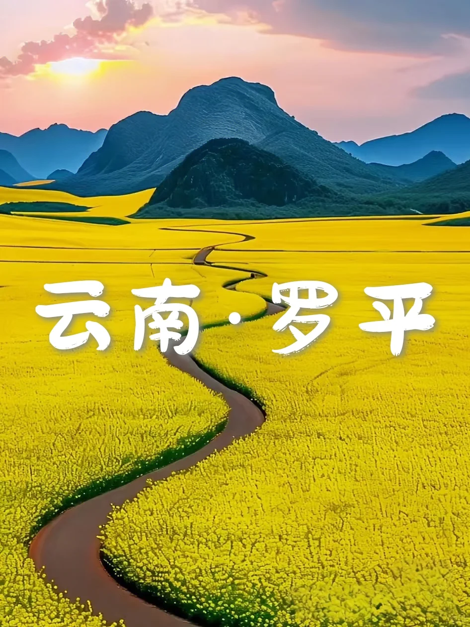 国内6个封神级花海，美到窒息想私奔