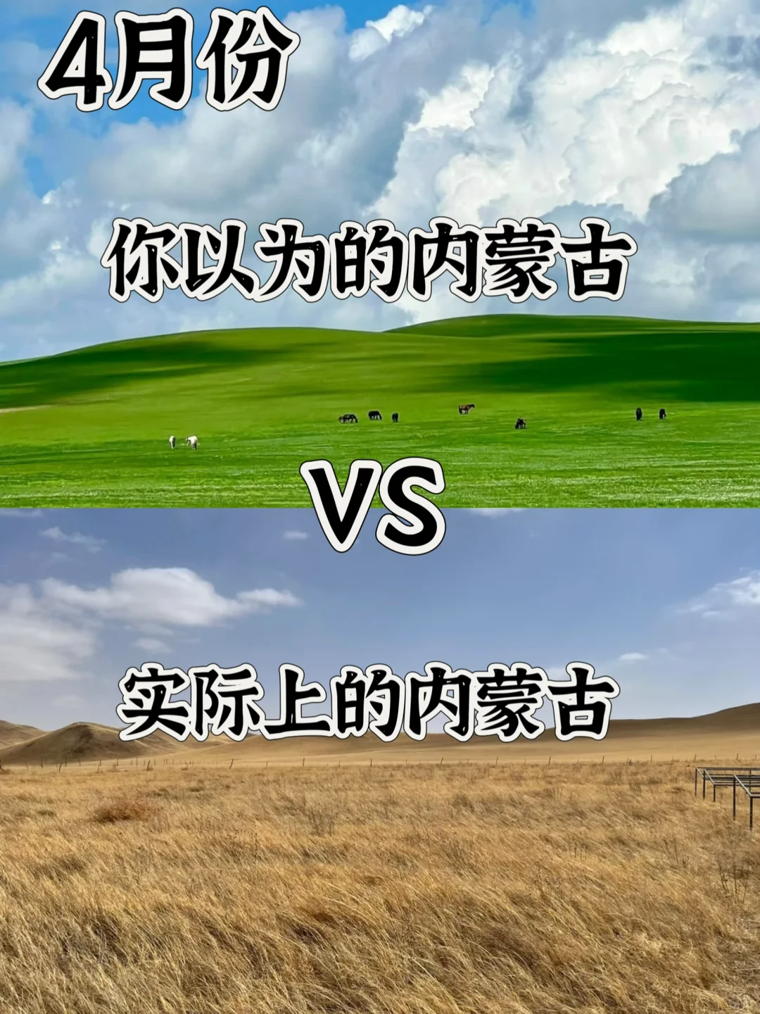 四月份要不要来草原？我来说实话