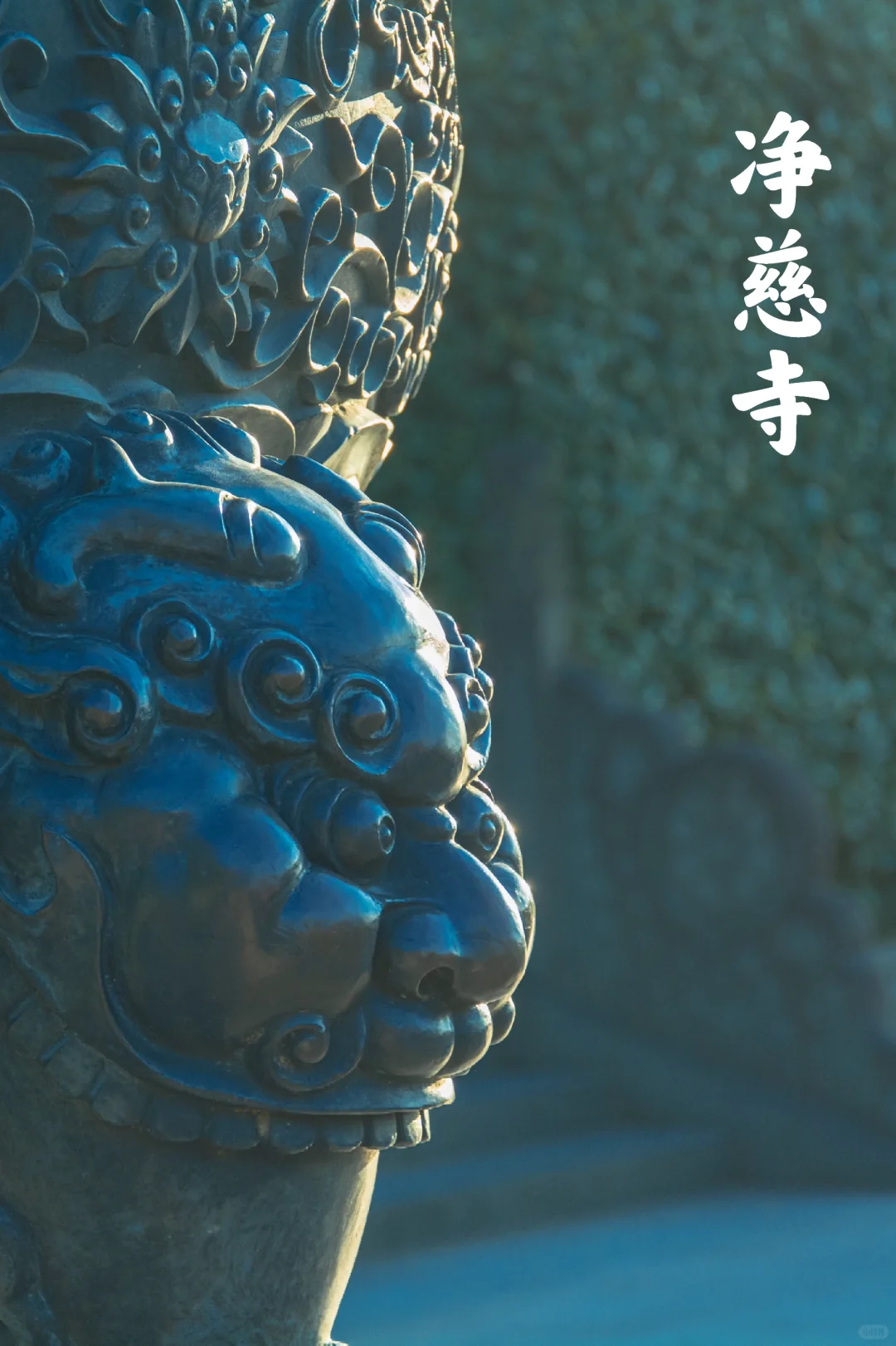 雷峰塔和净慈寺