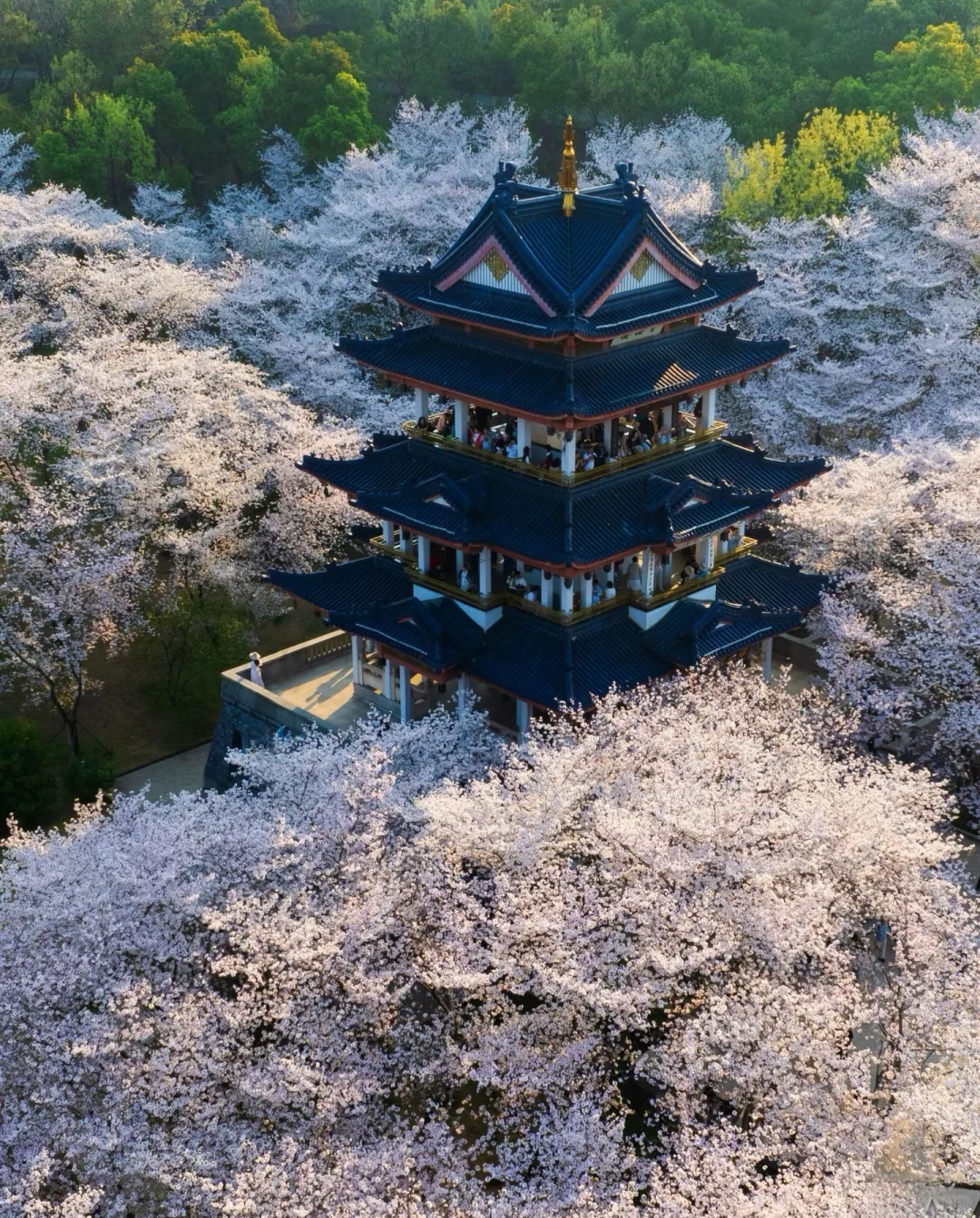 世界上只有江苏才有的12大景点‼️