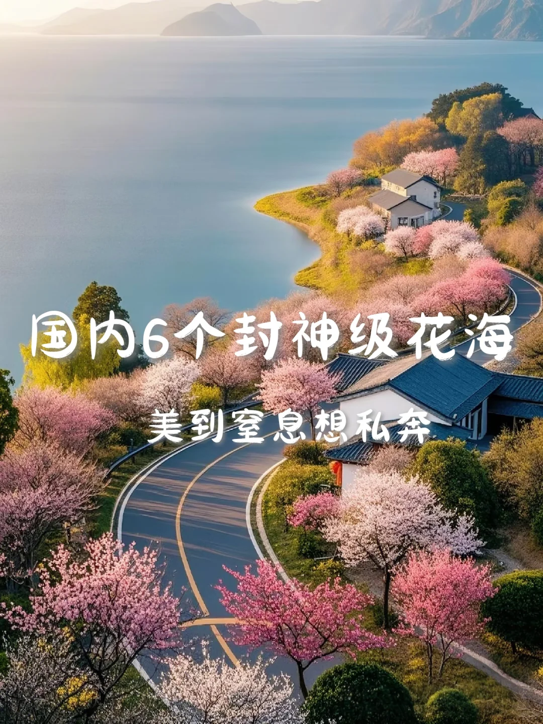 国内6个封神级花海，美到窒息想私奔