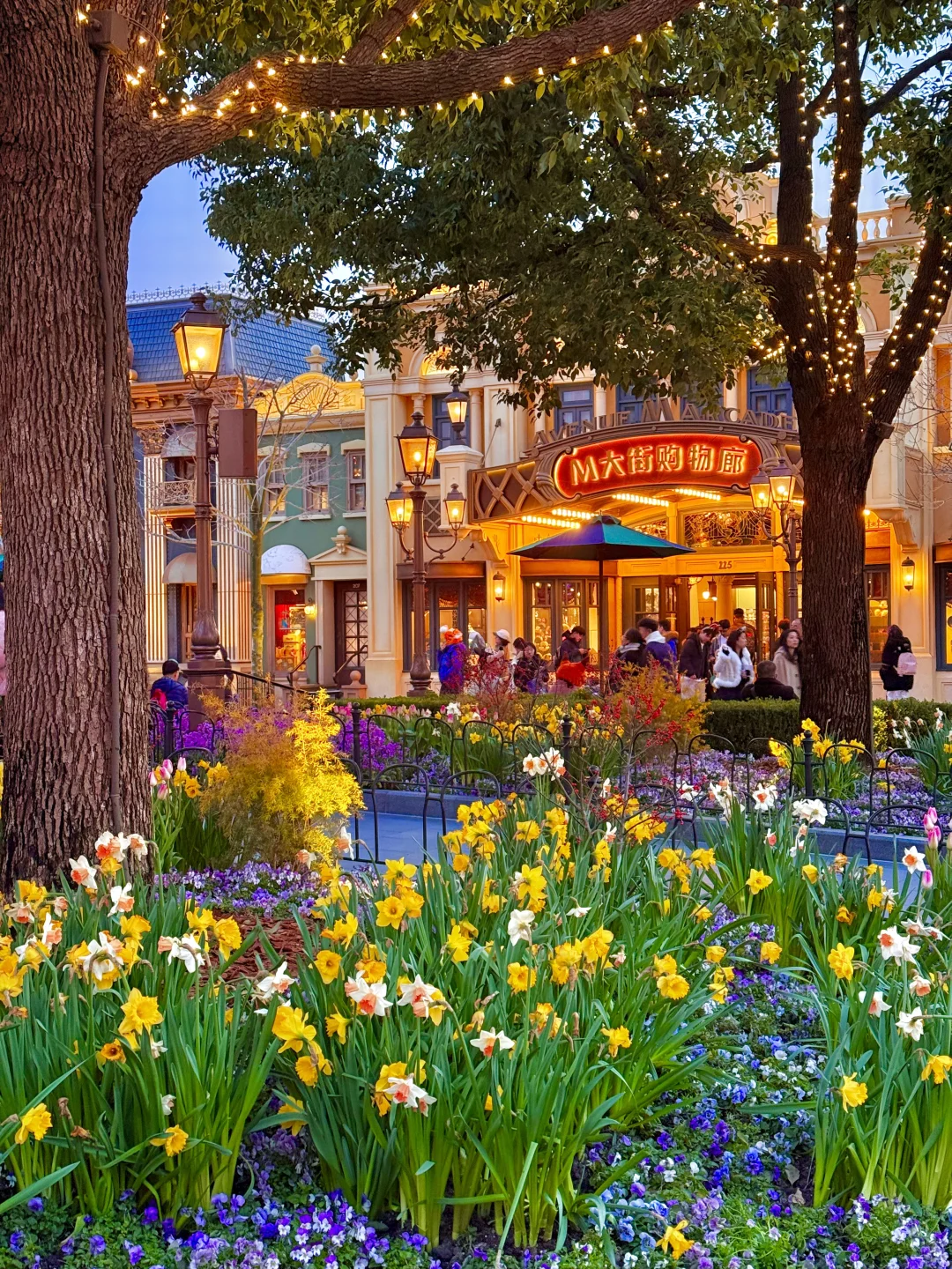 春天还得看迪士尼！！真的美疯了！