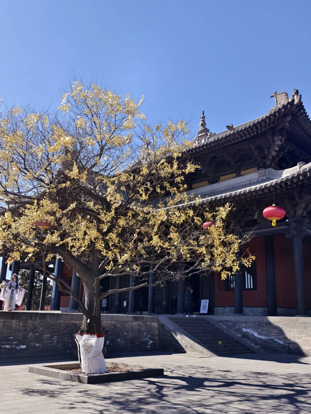 清华大一 | 周末逃离北京计划 之 大同