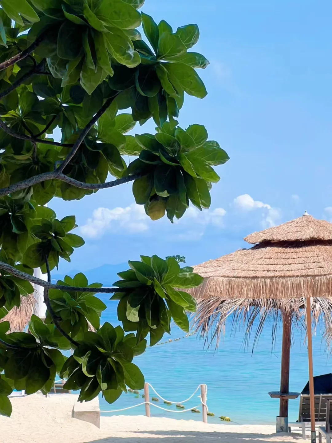 三亚｜一生必去打卡地🤩