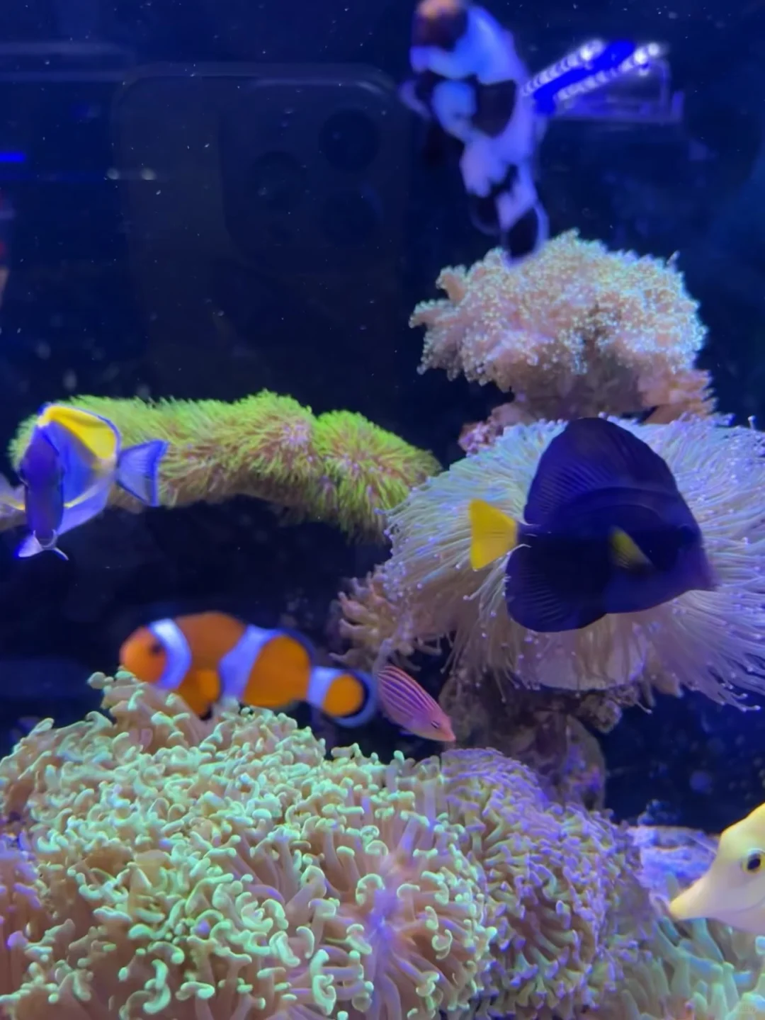 在杭州的惊喜发现！来旅游的人不要错过