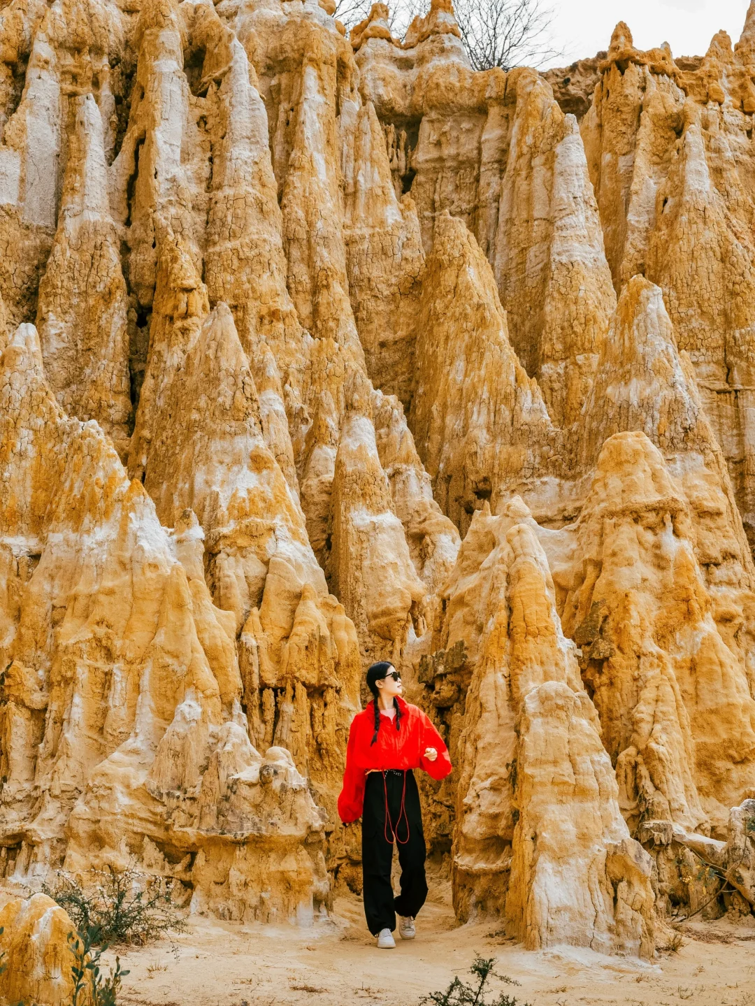不在科罗拉多大峡谷📍这里是中国楚雄土林