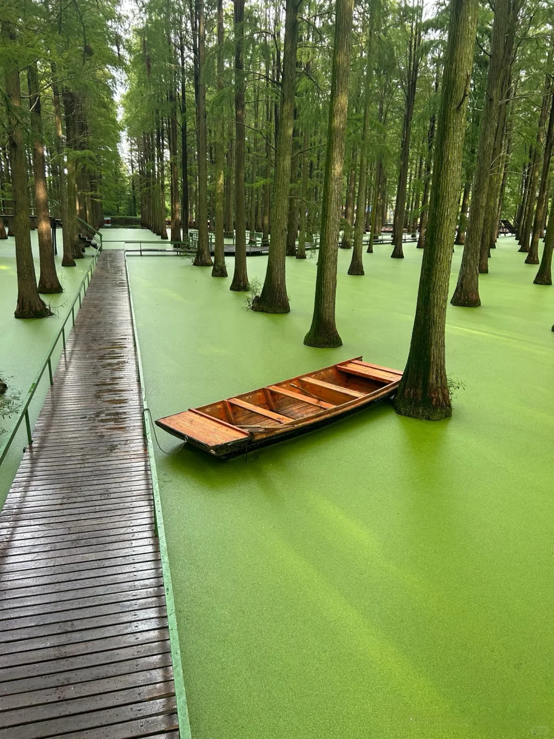 世界上只有江苏才有的12大景点‼️