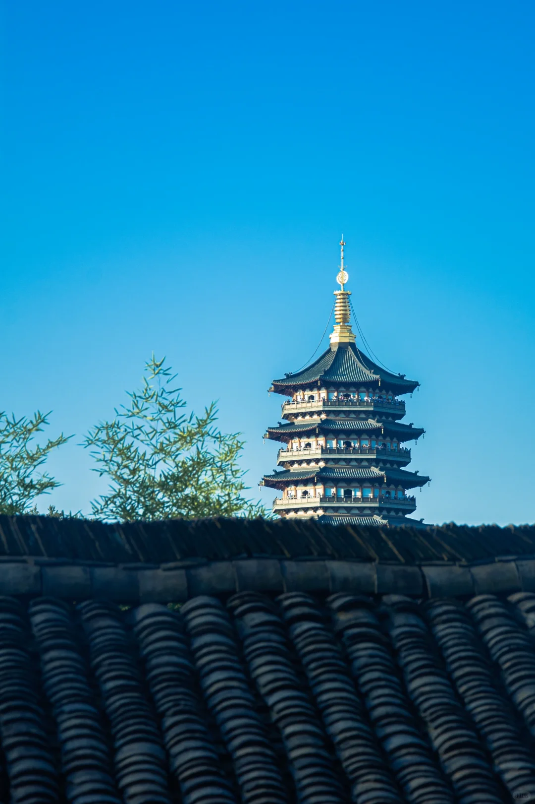 雷峰塔和净慈寺