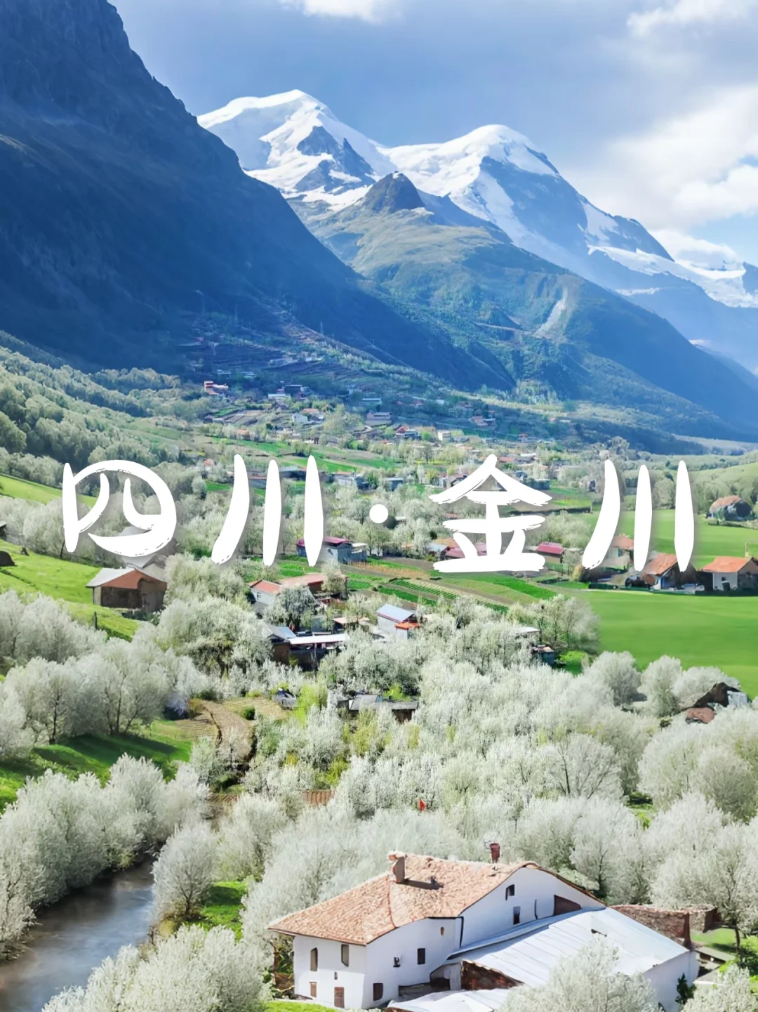 国内6个封神级花海，美到窒息想私奔