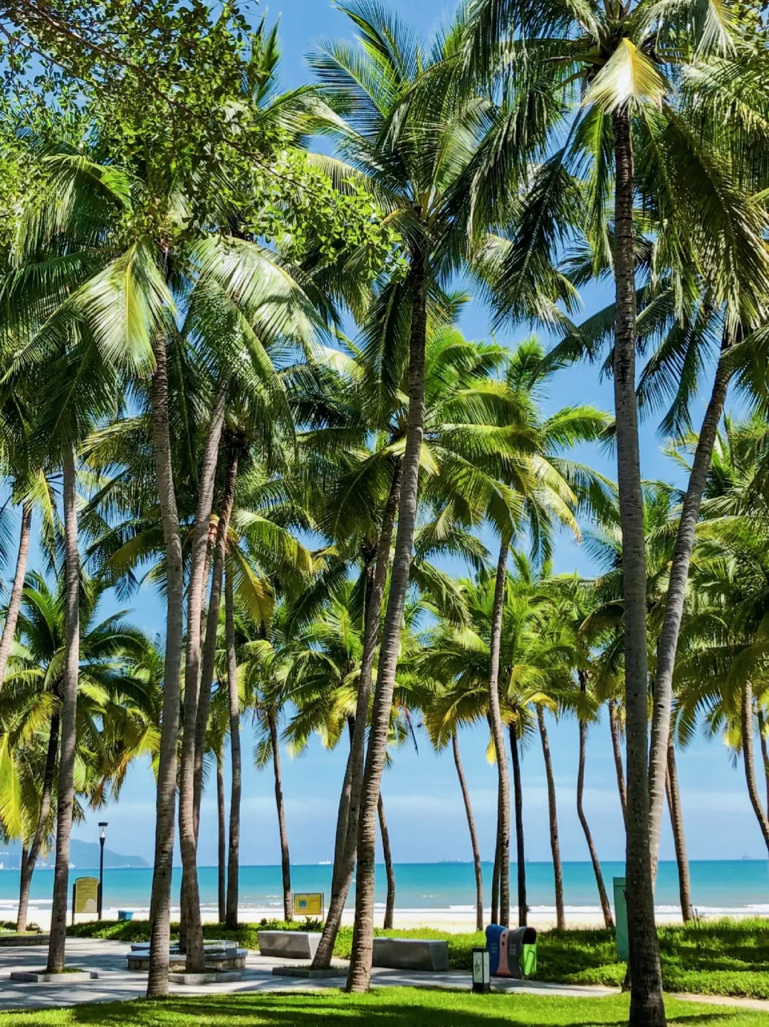 三亚｜一生必去打卡地🤩