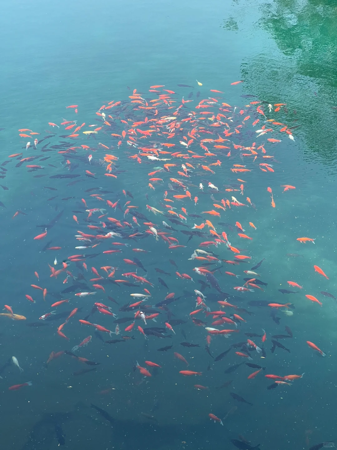 刚从济南回来，五一要去的姐妹听劝！