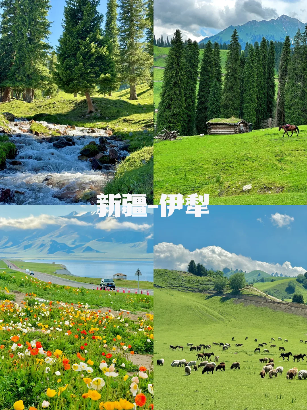 不愧是Deepseek，5月最佳旅游城市很会推荐