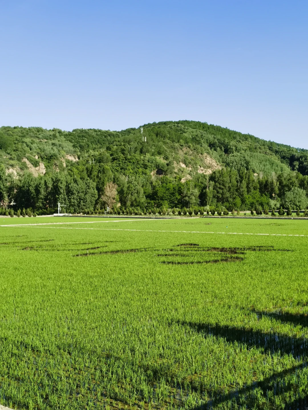 延安｜一座可以慢慢逛一逛的红色圣地♥️