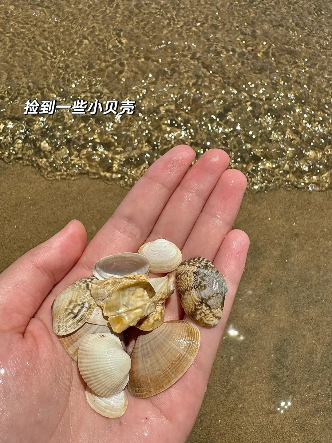 秦皇岛两日游plog🌊阿那亚和蔚蓝海岸太美