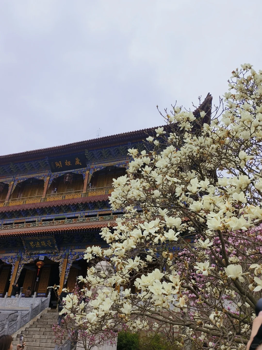 来天水看看春天吧💐总会给你惊喜的地方！