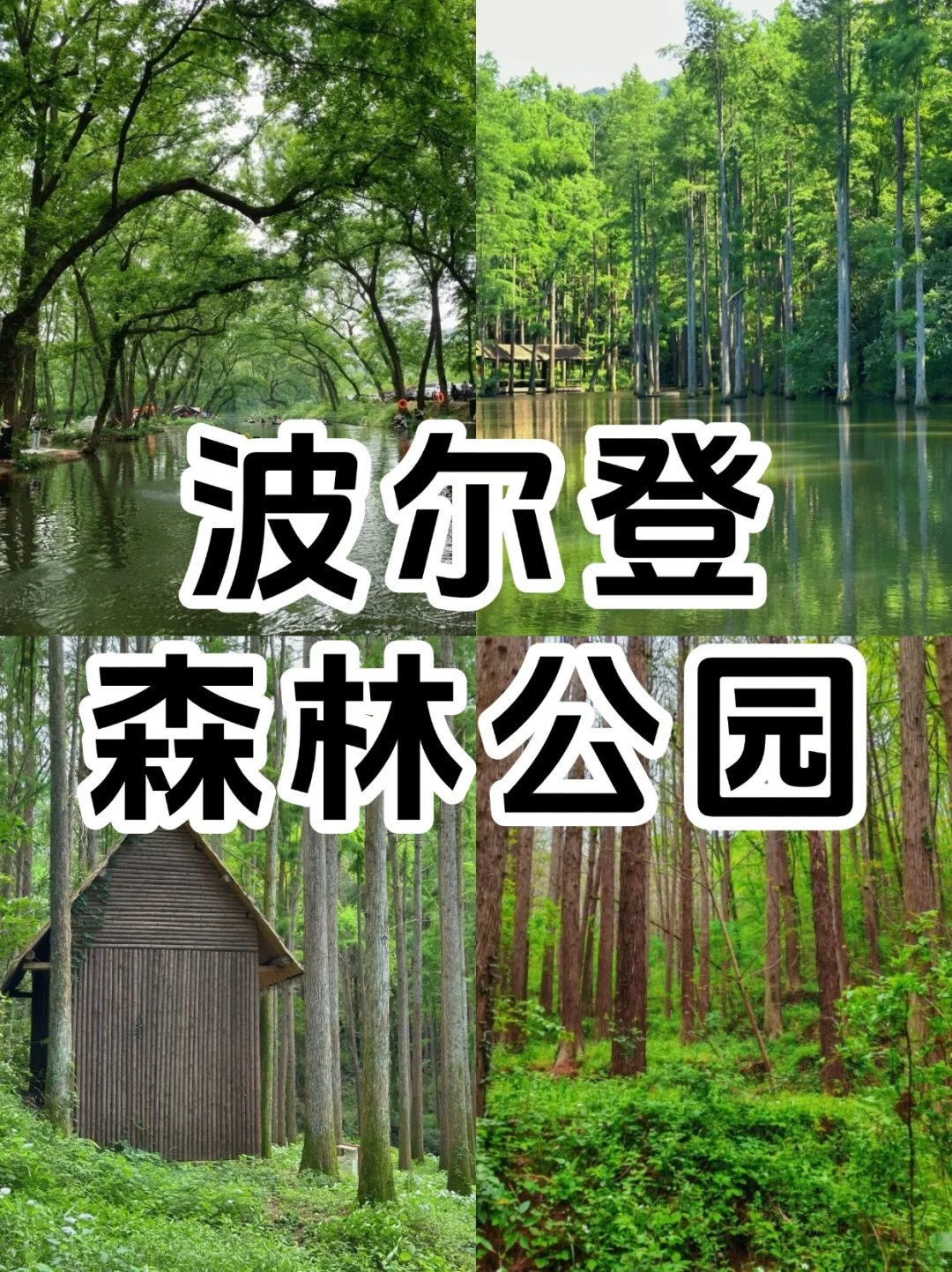 信阳必去9大景点超全新手攻略‼️