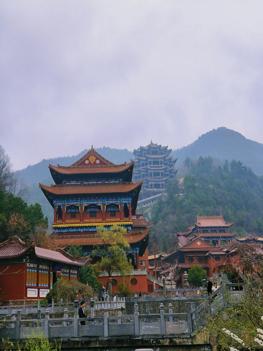 来天水看看春天吧💐总会给你惊喜的地方！