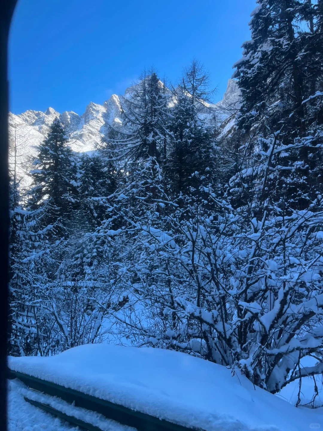 1.16📍毕棚沟实况live 简直不要太美了的！！