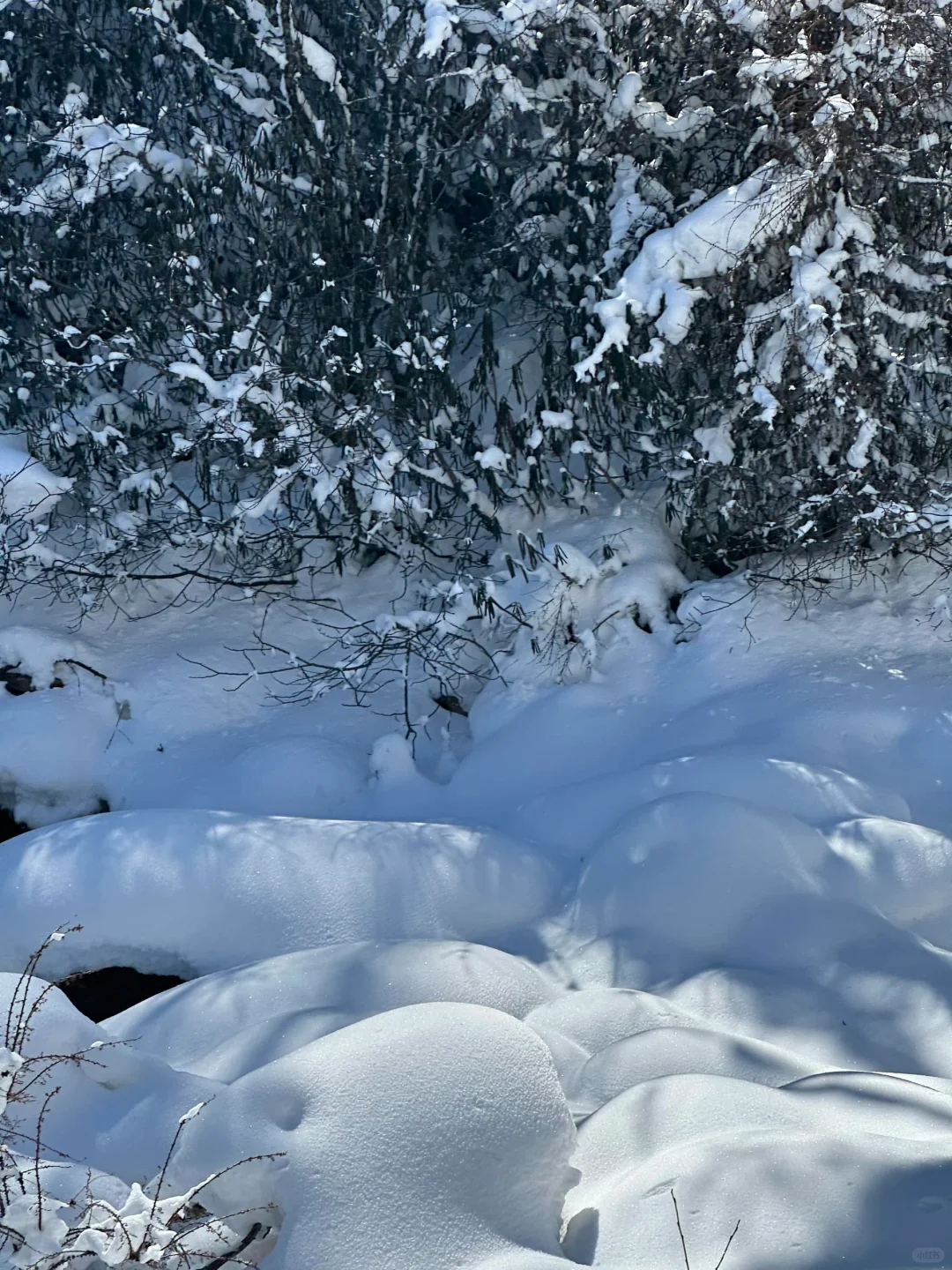 1.16📍毕棚沟实况live 简直不要太美了的！！