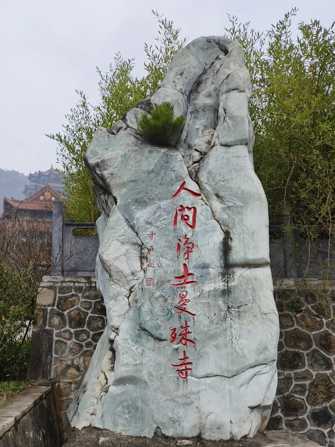 来天水看看春天吧💐总会给你惊喜的地方！